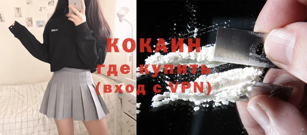 шишки Богданович