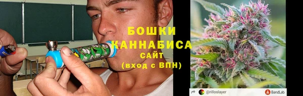 молекула духа Богородск