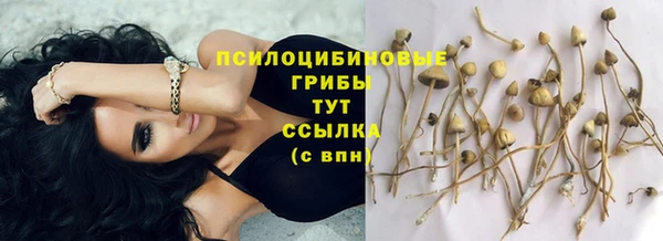 СК Богородицк