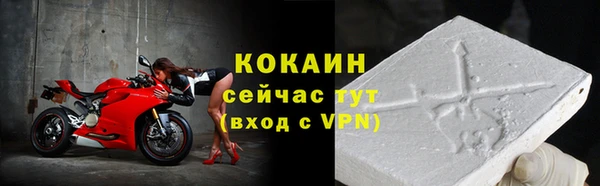 шишки Богданович