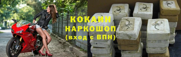 шишки Богданович