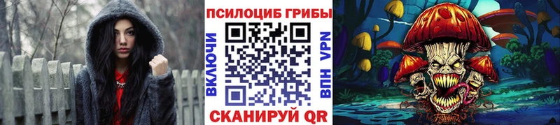 Псилоцибиновые грибы Cubensis  kraken зеркало  Дедовск 